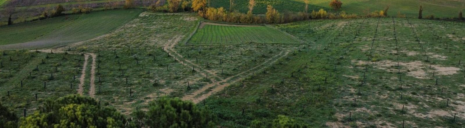 Agriturismo La Terrazza Sul Mangia Сієна Екстер'єр фото