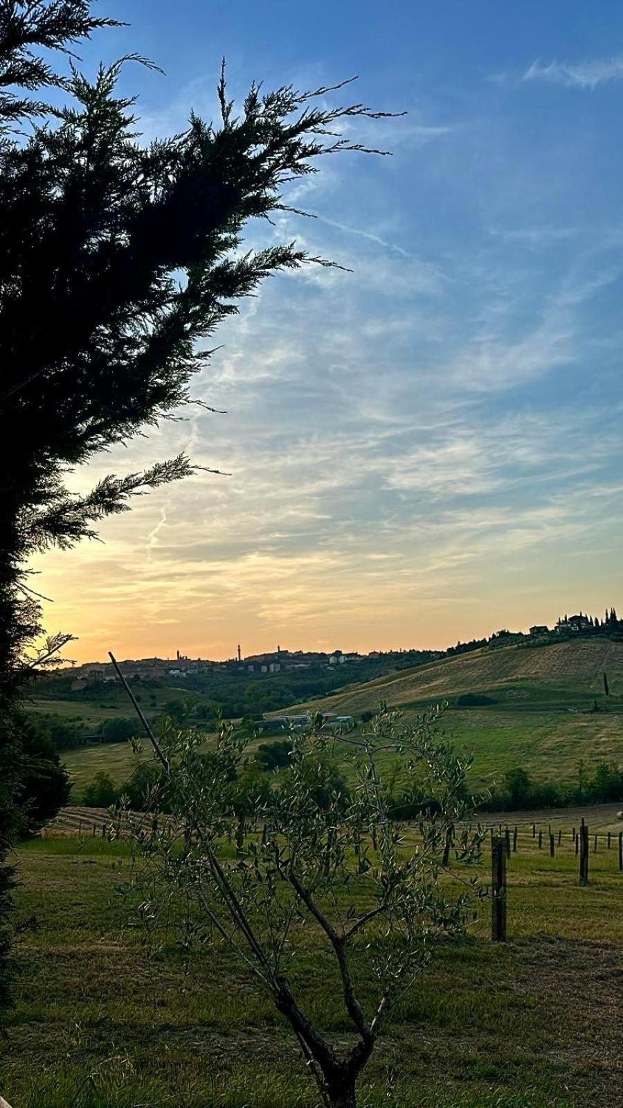 Agriturismo La Terrazza Sul Mangia Сієна Екстер'єр фото